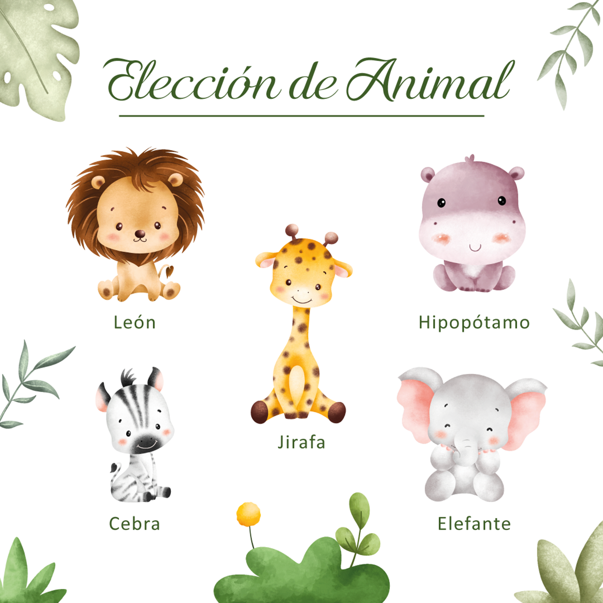 Recién Nacido - Safari