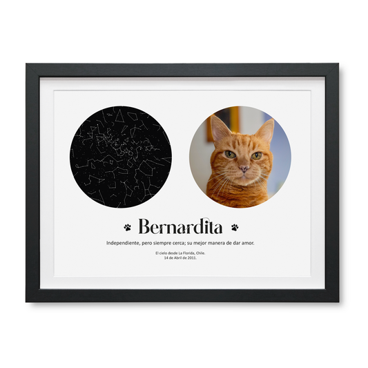 Mapa Estelar Mascota Personalizado