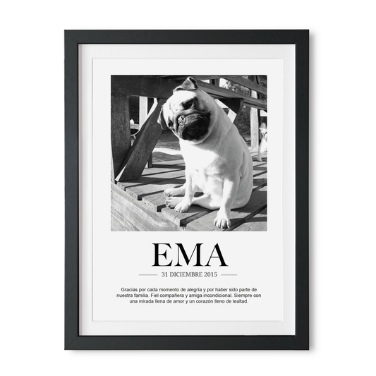 Retrato Mascota Personalizado