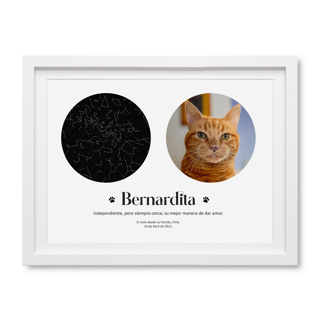 Mapa Estelar Mascota Personalizado