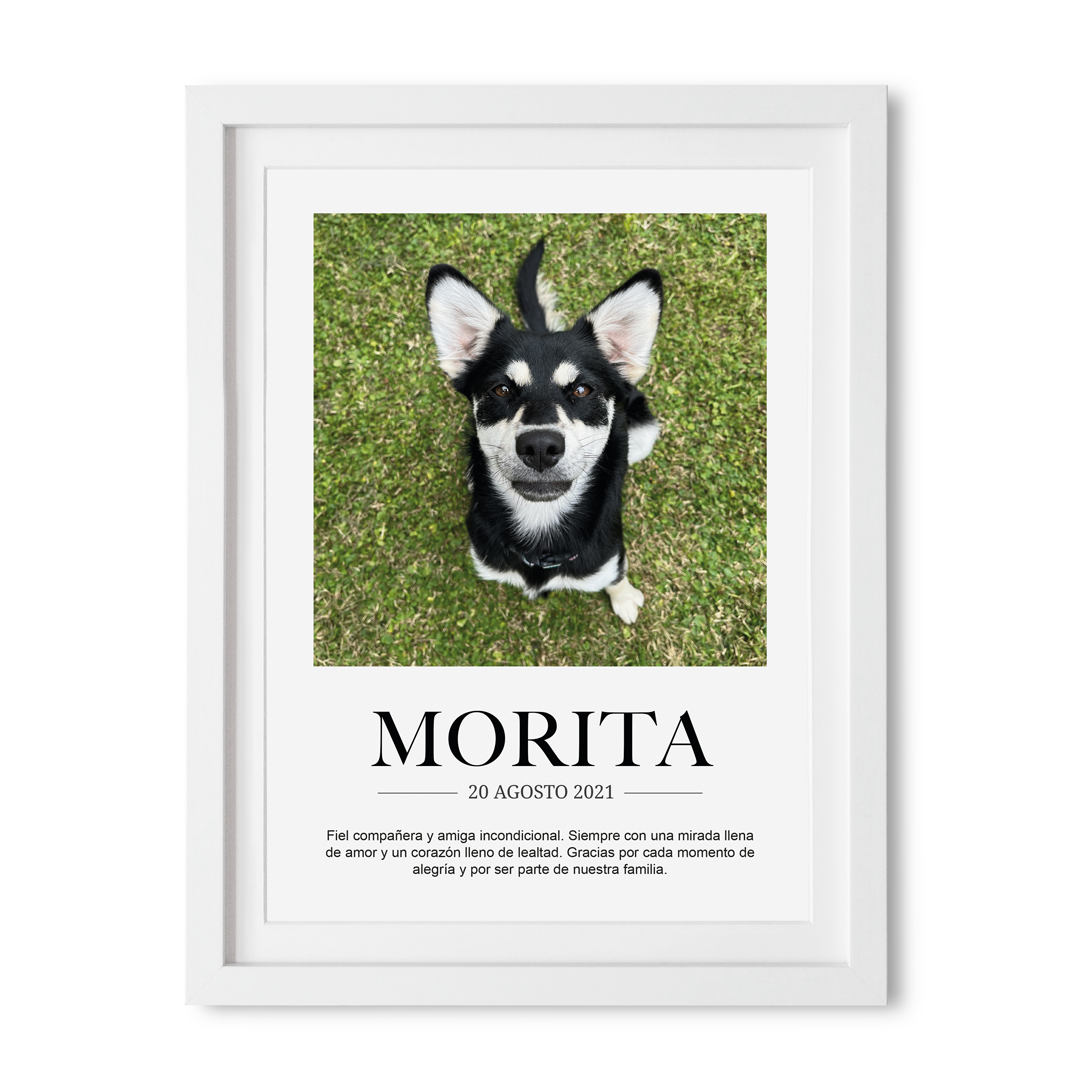 Retrato Mascota Personalizado